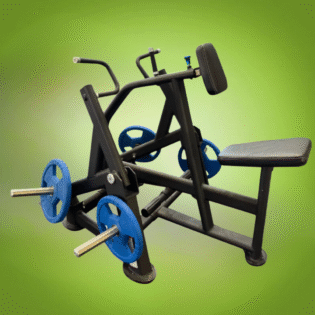 Seated Row Dual