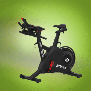 Indoor Bike Eagle