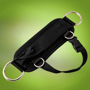 Ankle Strap Dual